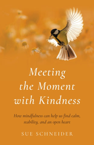 MEETING THE MOMENT WITH KINDNESS by Sue Schneider