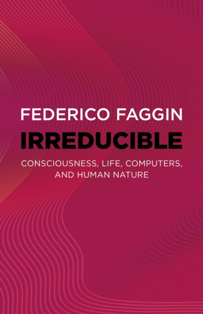 IRREDUCIBLE by Federico Faggin