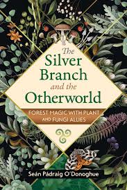 SILVER BRANCH AND THE OTHERWORLD by Seán Pádraig O’Donoghue