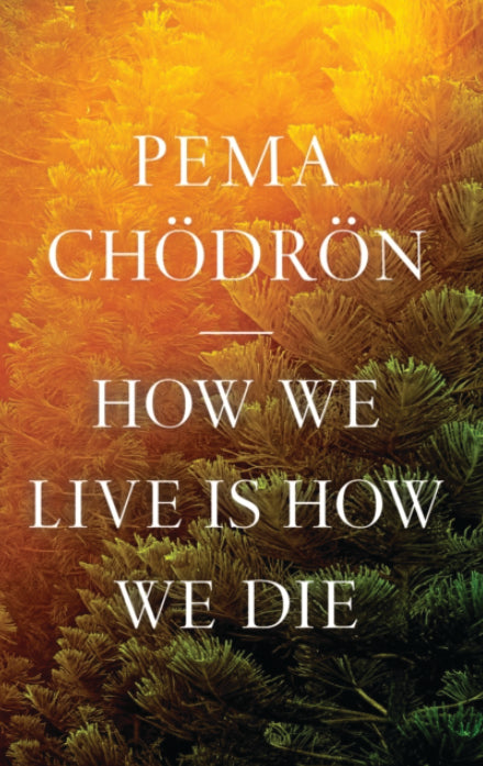 HOW WE LIVE IS HOW WE DIE (Paperback) by Pema Chödrön