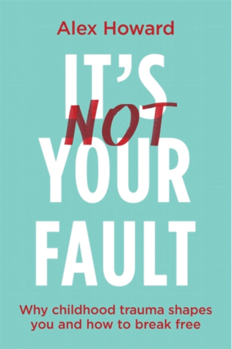 IT’S NOT YOUR FAULT by Alex Howard