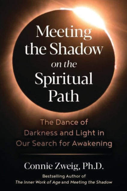 MEETING THE SHADOW ON THE  SPIRITUAL PATH by Connie Zweig