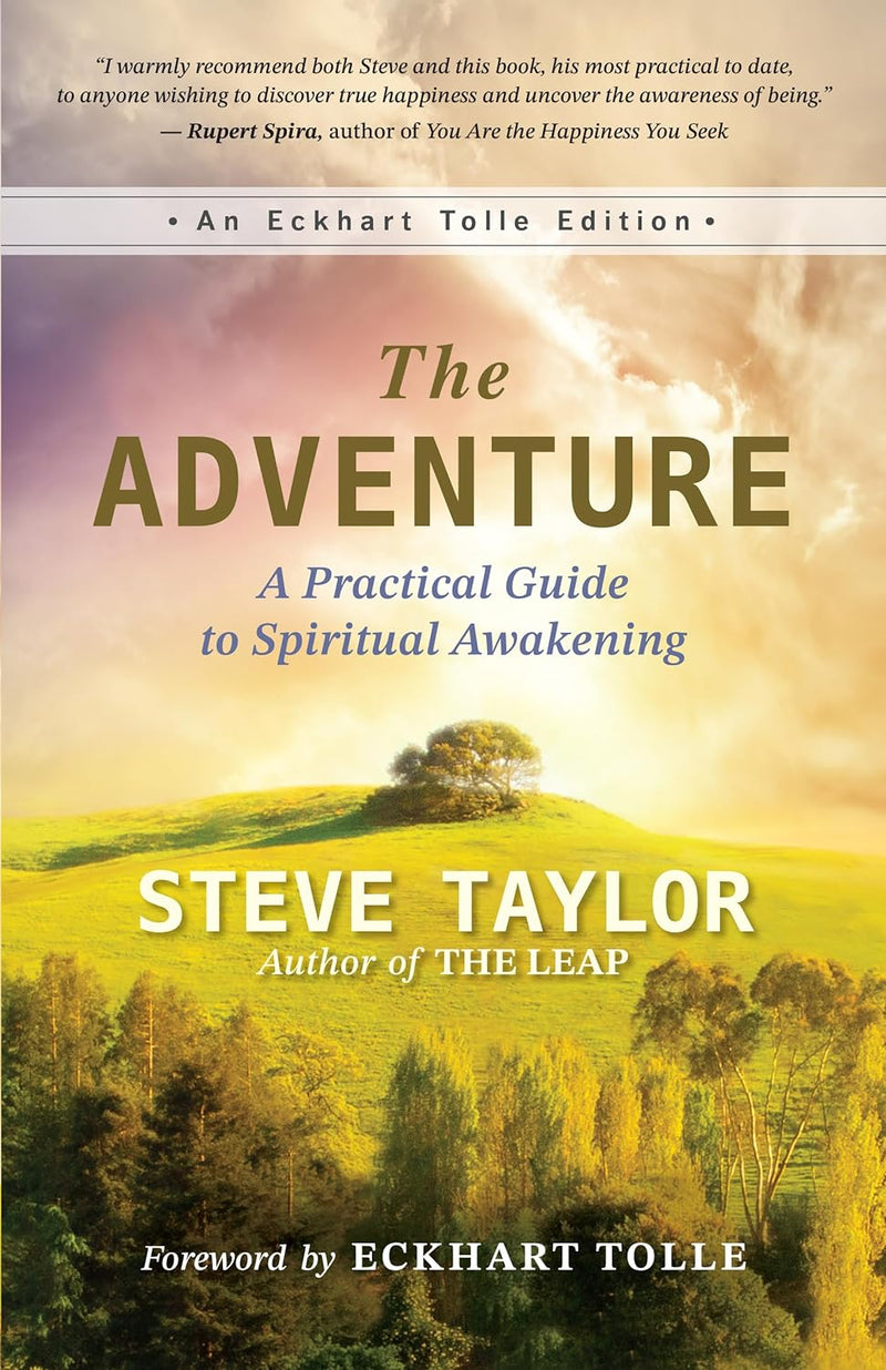 THE ADVENTURE by Steve Taylor