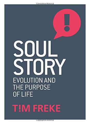 SOUL STORY by Tim Freke