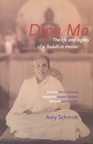 DIPA MA by Amy Schmidt