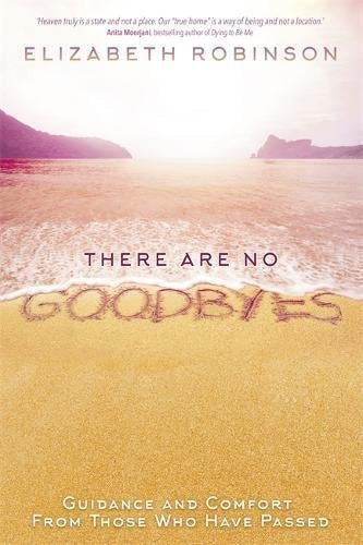 THERE ARE NO GOODBYES by Elizabeth Robinson