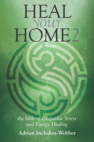 HEAL YOUR HOME 2 by Adrian Inceldon-Webber