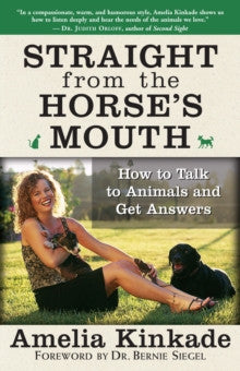 STRAIGHT FROM THE HORSE'S MOUTH by Amelia Kinkade