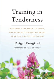 TRAINING IN TENDERNESS by Dzigar Kongtrul