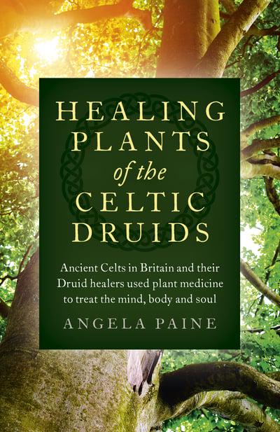 HEALING PLANTS OF THE CELTIC DRUIDS by Angela Paine