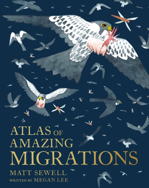 ATLAS OF AMAZING MIGRATION by Matt Sewell