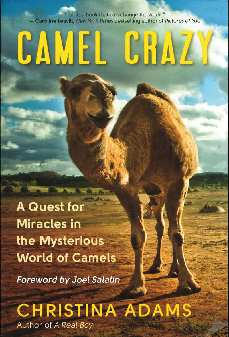 CAMEL CRAZY by Christina Adam