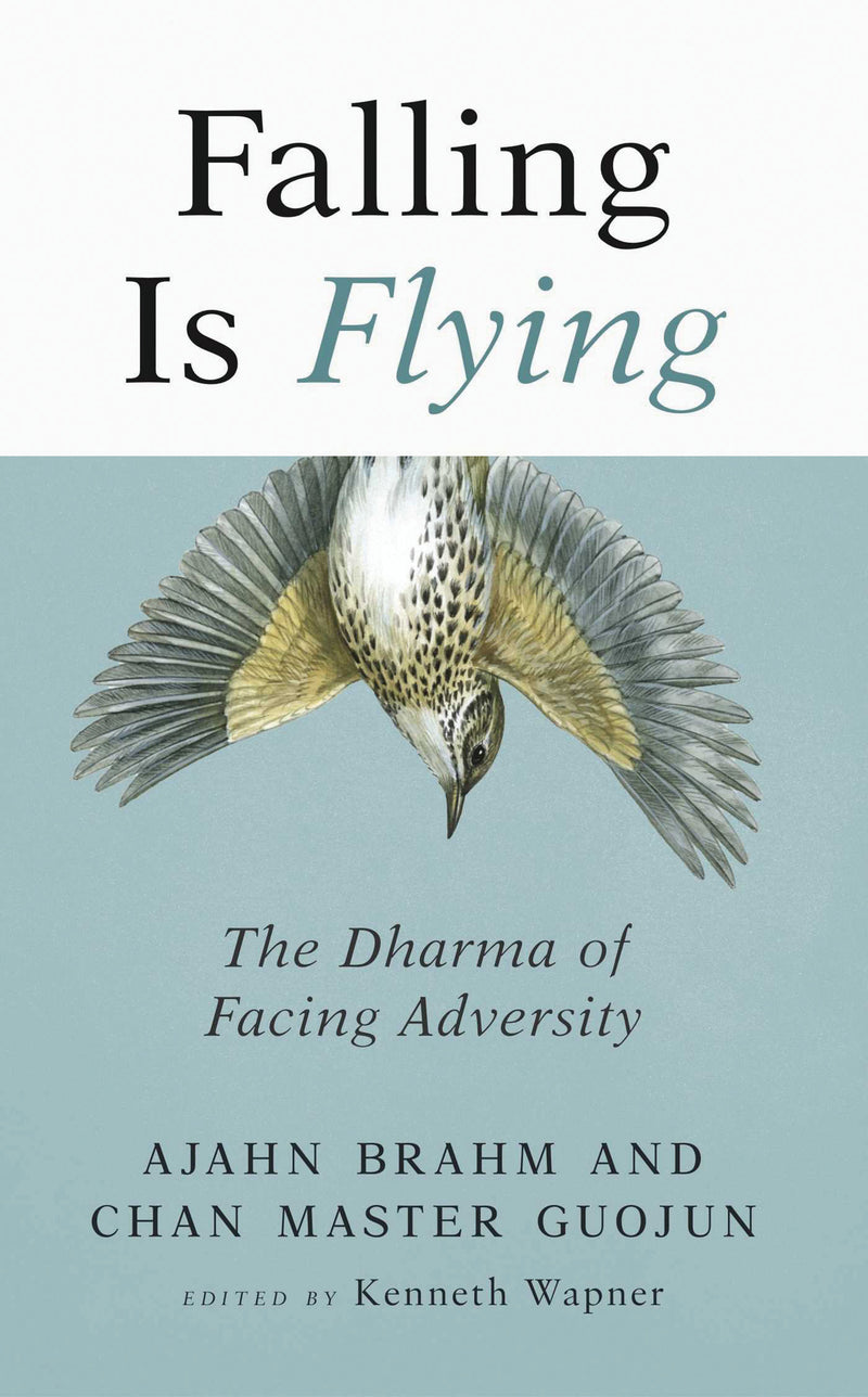 FALLING IS FLYING by Ajahn Brahm