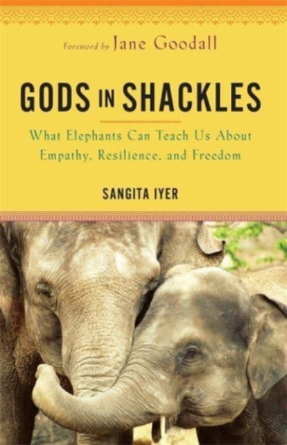 GODS IN SHACKLES by Sangita Iyer