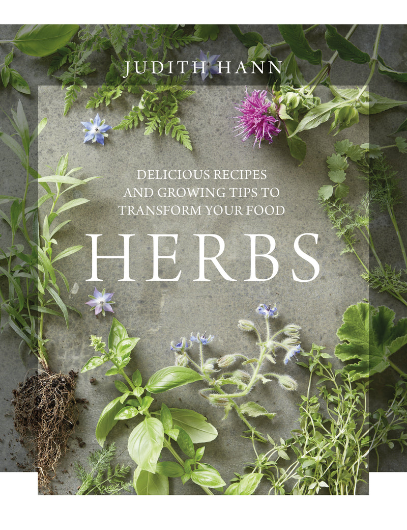 HERBS by Judith Hann