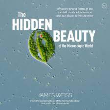 HIDDEN BEAUTY OF THE MICROSCOPIC WORLD by James Weiss