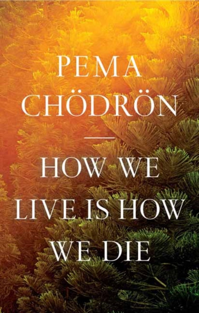 HOW WE LIVE IS HOW WE DIE (HARDBACK) by Pema Chödrön