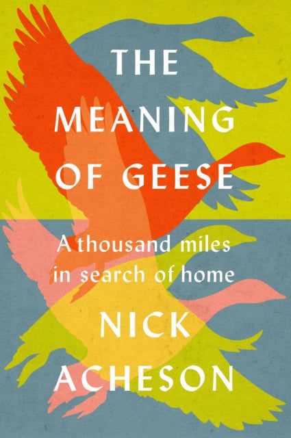 THE MEANING OF GEESE by Nick Acheson