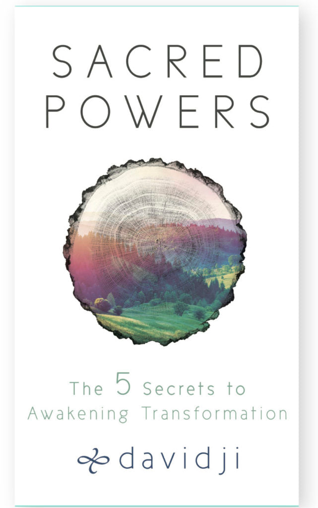 SACRED POWERS by davidji