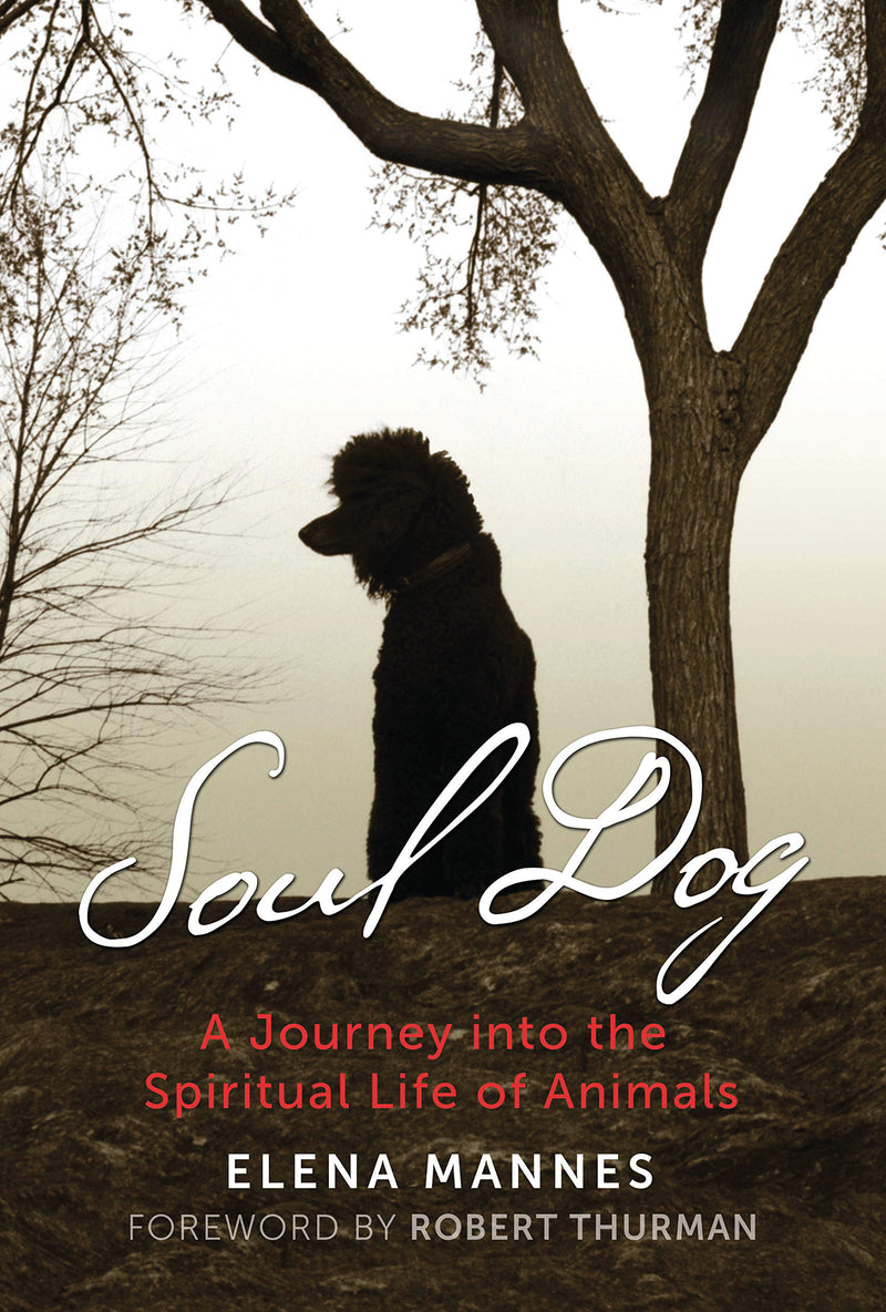 SOUL DOG by Elena Mannes