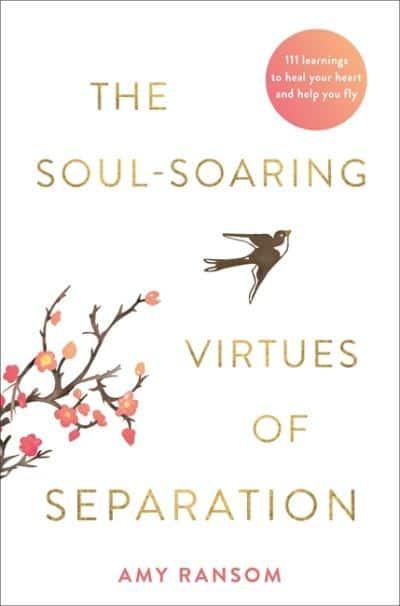 SOUL SOARING VIRTUES OF SEPARATION by Amy Ransom