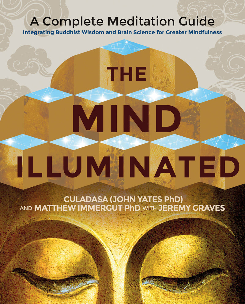 MIND ILLUMINATED by Matthew Immergut