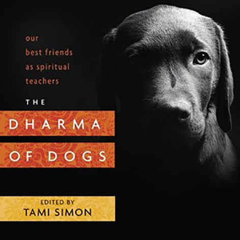 DHARMA OF DOGS by Tami Simon