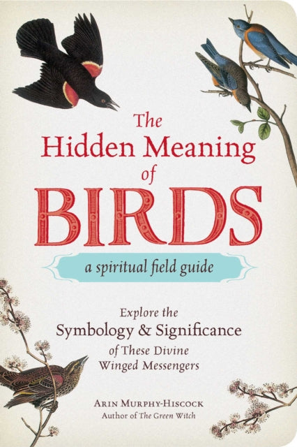 The Hidden Meaning of Birds by Arin Murphy-Hiscock