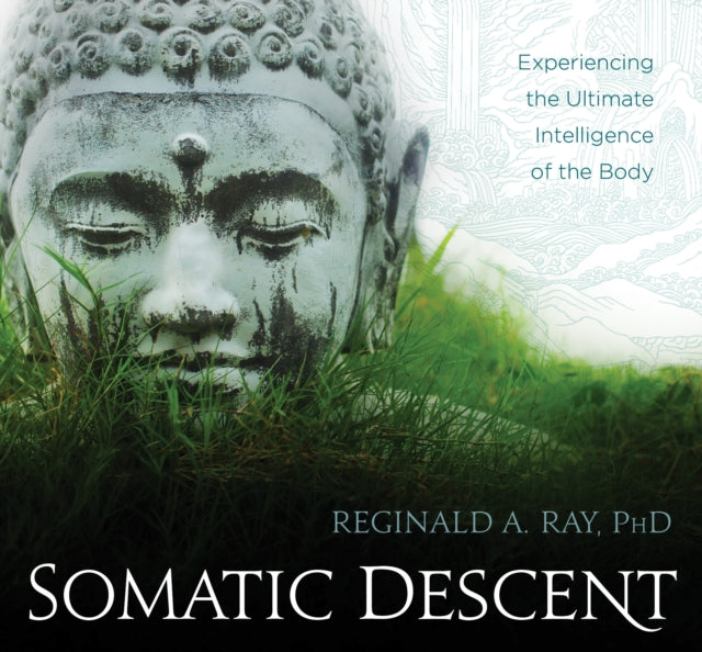 SOMATIC DESCENT AUDIO by Reginald Ray