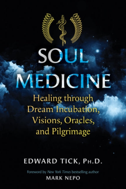 SOUL MEDICINE by Edward Tick