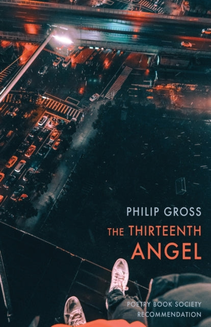 THE THIRTEENTH ANGEL by Philip Gross