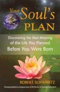 YOUR SOUL'S PLAN Robert Schwartz