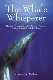 WHALE WHISPERER Madeleine Walker