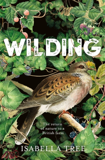 WILDING: THE RETURN OF NATURE TO A BRITISH FARM by Isabella Tree