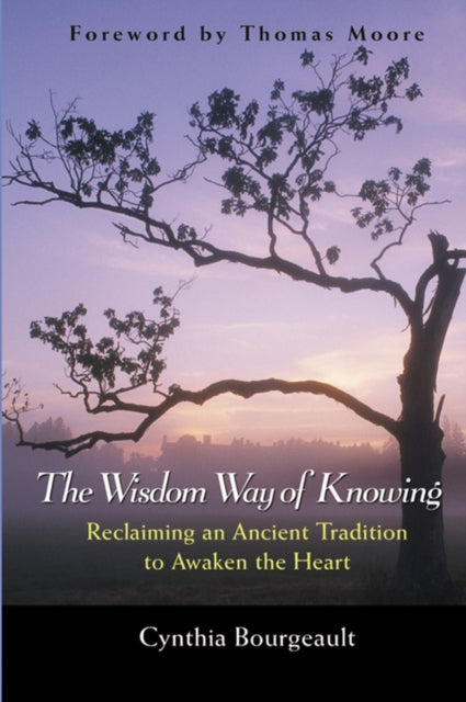 THE WISDOM WAY OF KNOWING by Cynthia Bourgeault